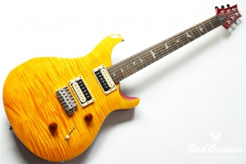 SE Custom 24 - VY